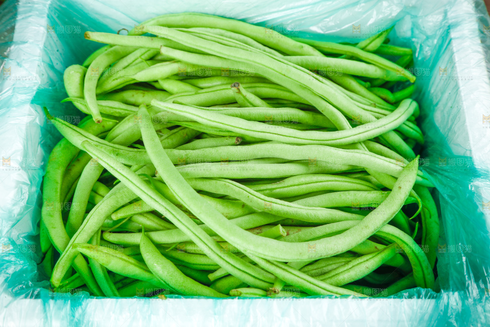 袋子里装着四季豆