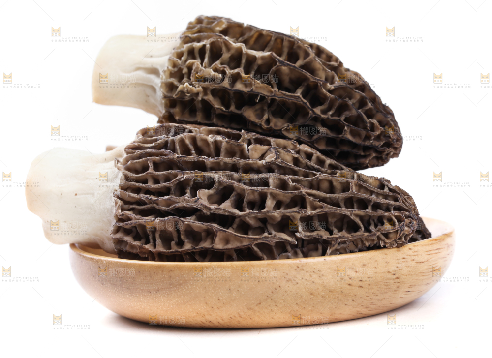 盘子装着羊肚菇