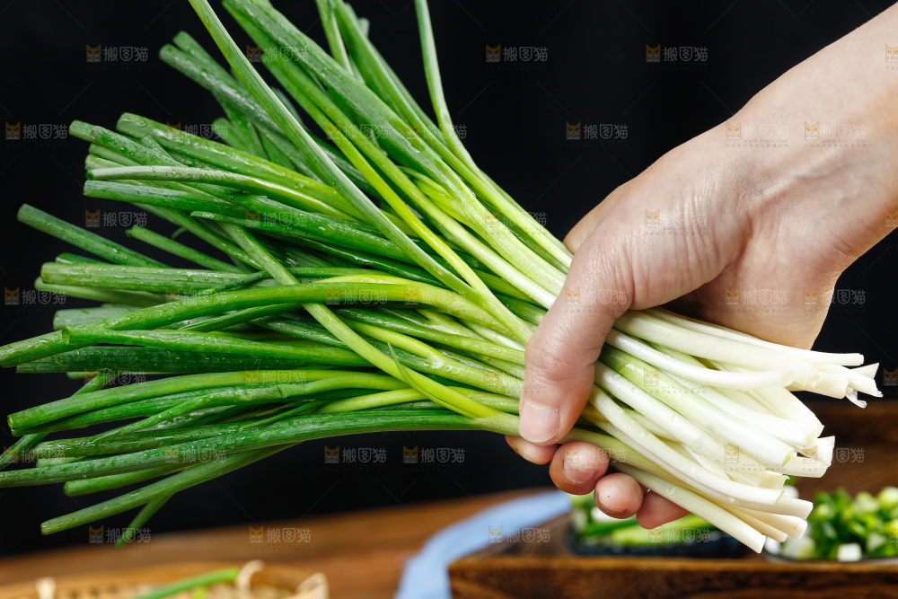 手里拿着小香葱