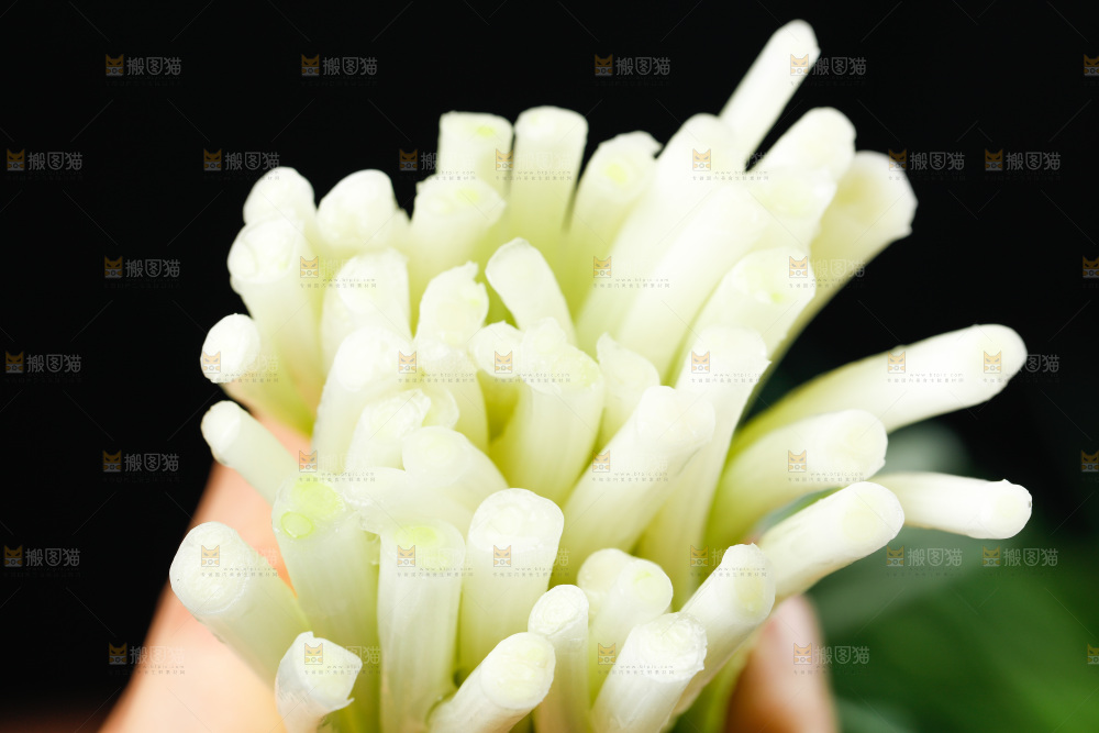 手里拿着小香葱