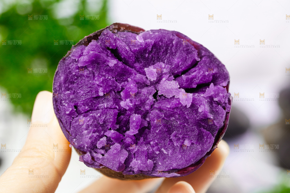 手里拿着新鲜土豆