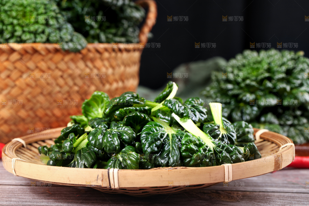 篮子里的新鲜菊花菜