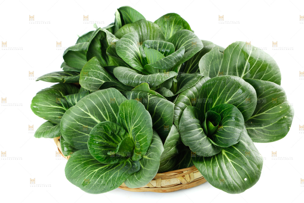 白底上的绿叶菜