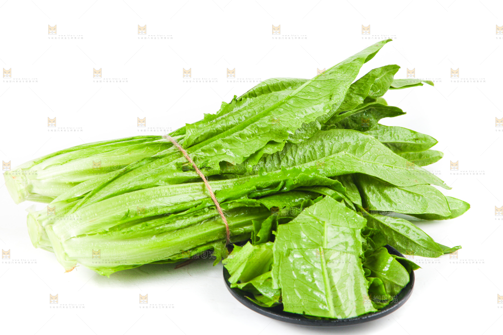 白底上的香麦菜