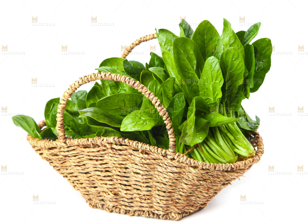 篮子里的红根菠菜