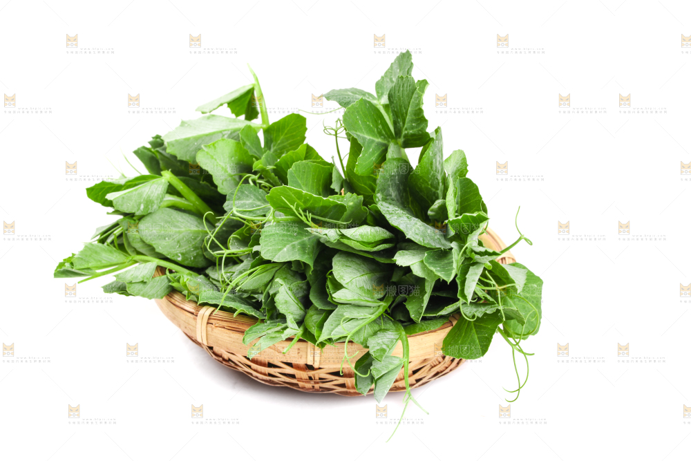 白底上摆放着新鲜豌豆苗