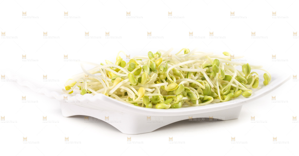 白底上的豆芽