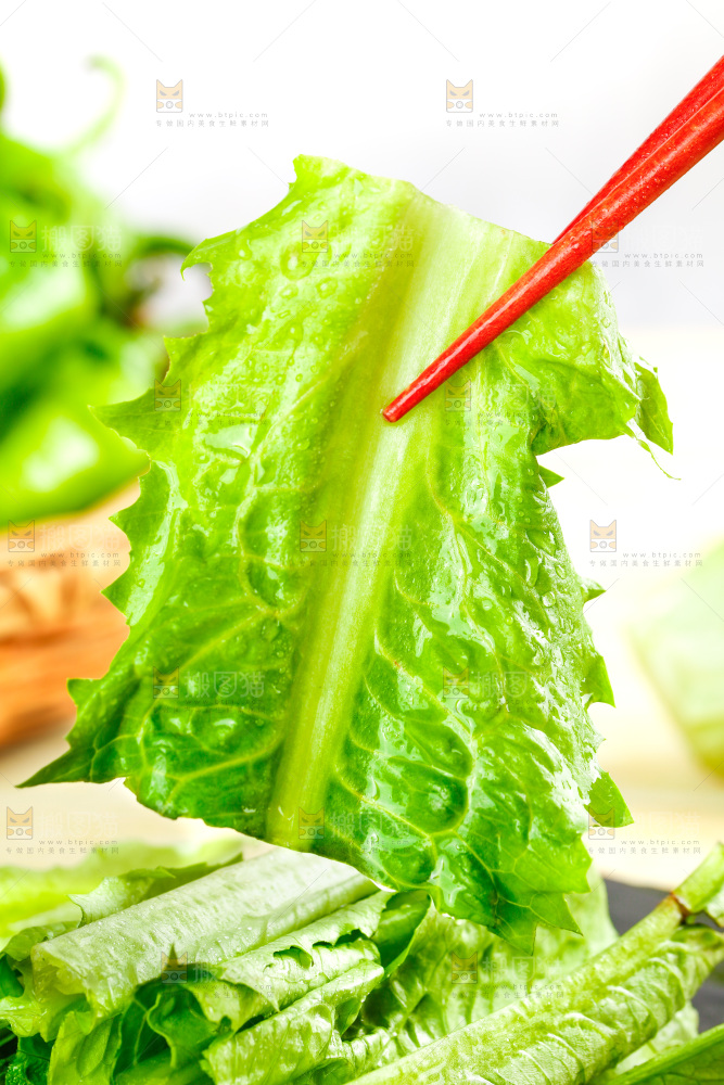 筷子上夹着新鲜油麦菜