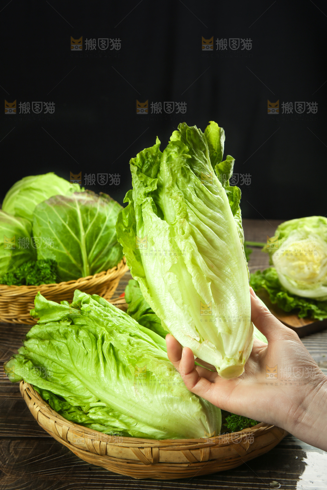 篮子里装着四季玻璃生菜