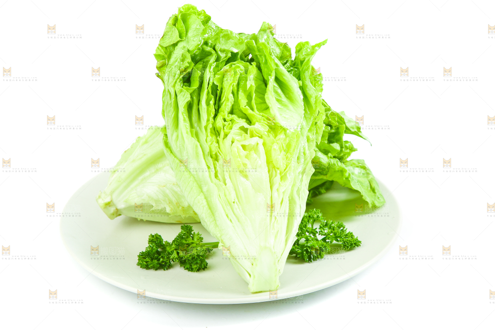 盘子里装着大叶生菜