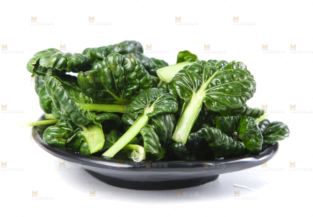 白底上的菊花菜