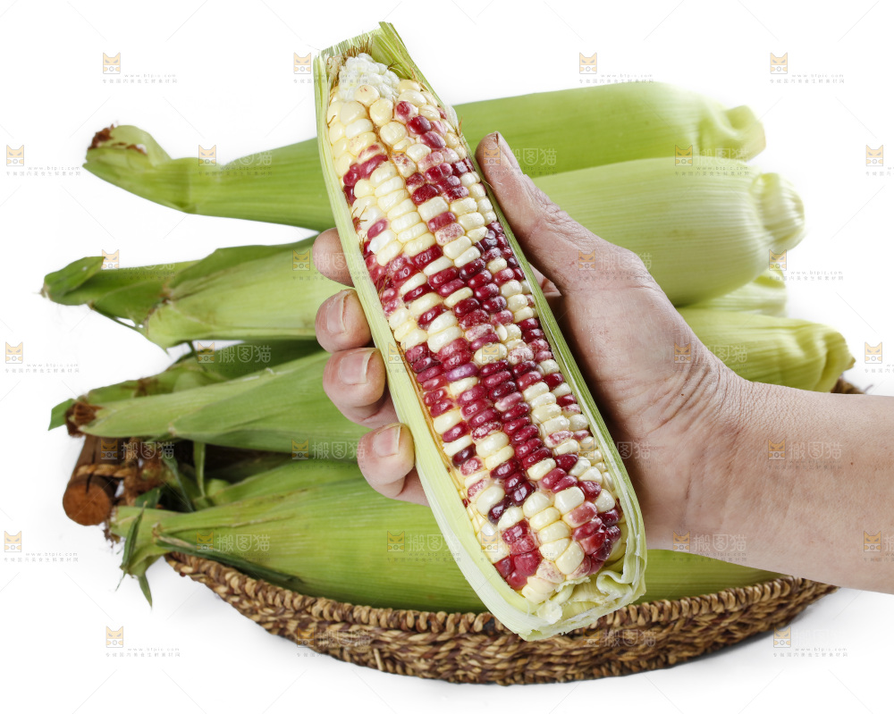 手拿糯玉米