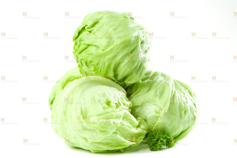 白底上的新鲜生菜