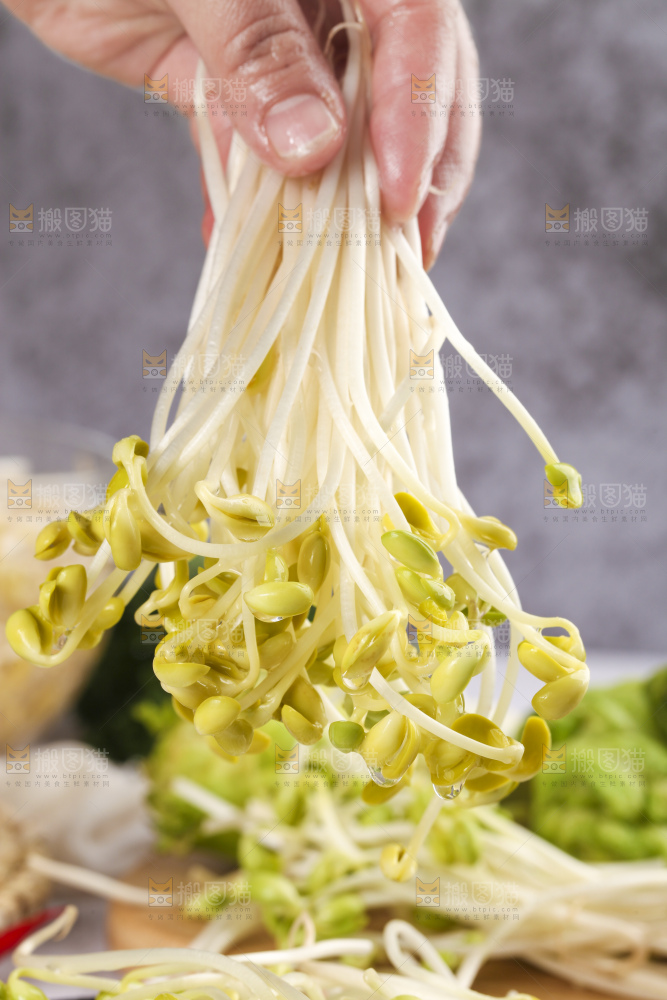 手里拿着黄豆芽