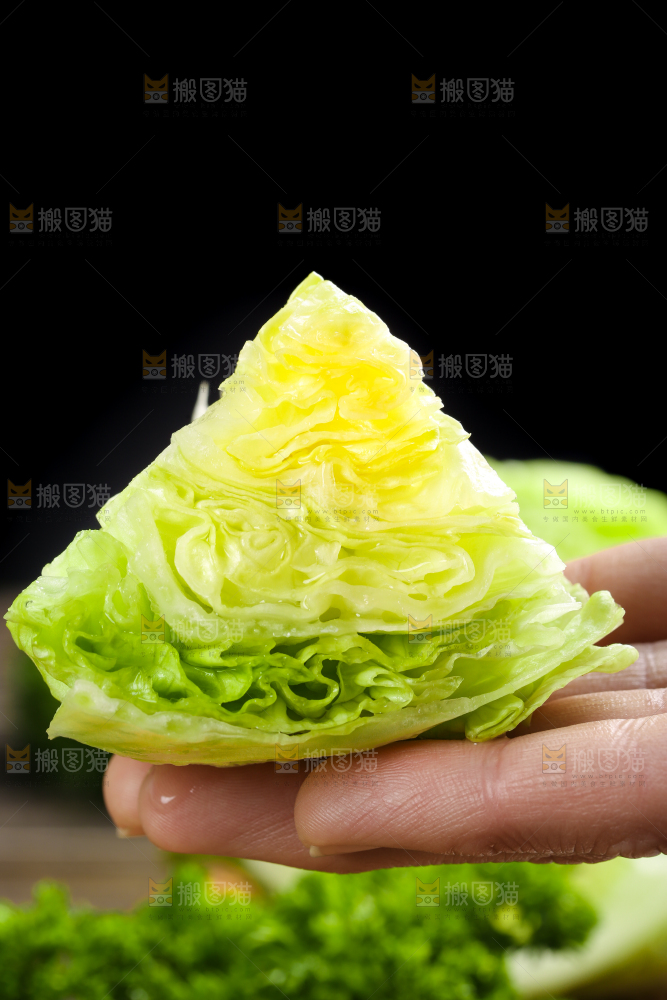 深底上的圆形生菜