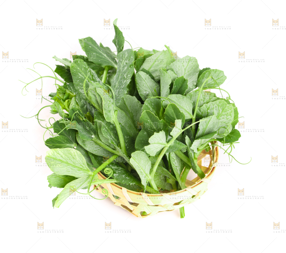 白底上摆放着新鲜豌豆苗