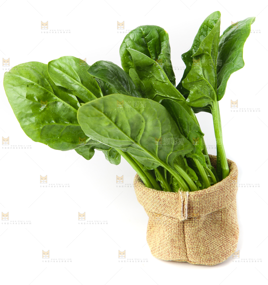 篮子里的红根菠菜