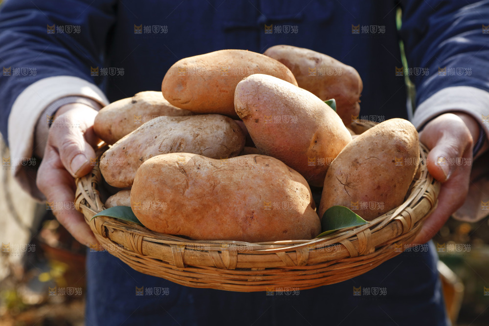 篮子里装着云南红心土豆