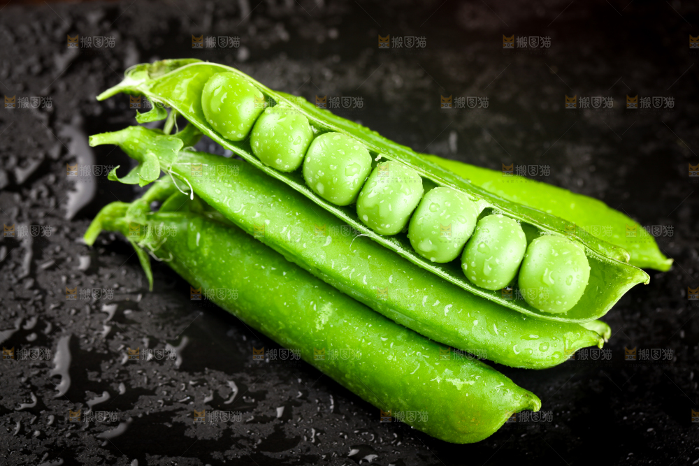 黑底上的青豌豆