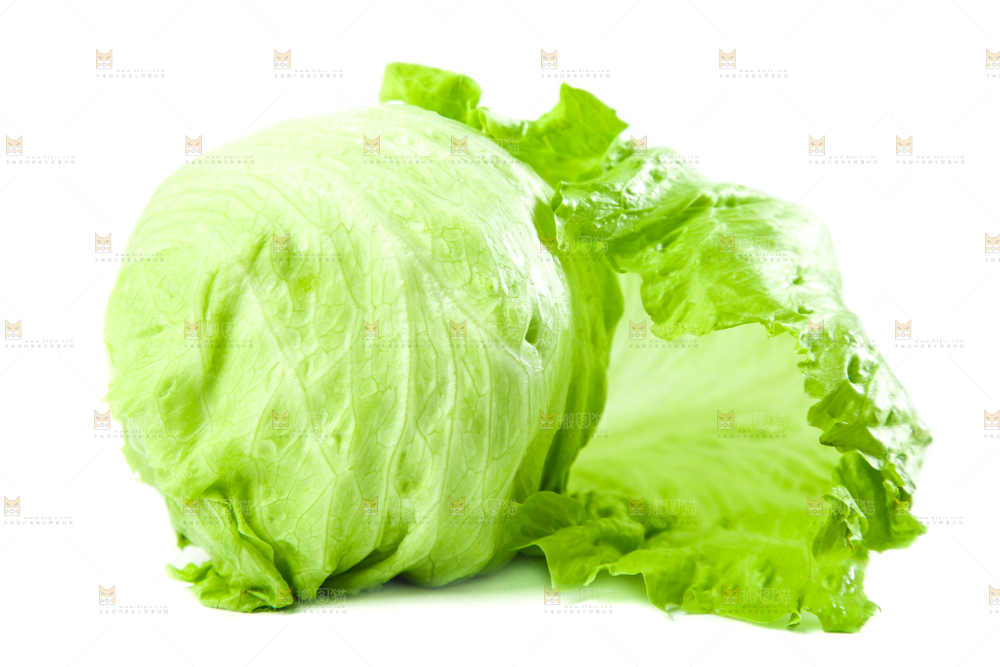 白底上的新鲜生菜