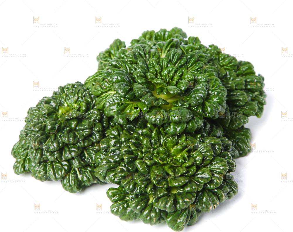 白底上的菊花菜