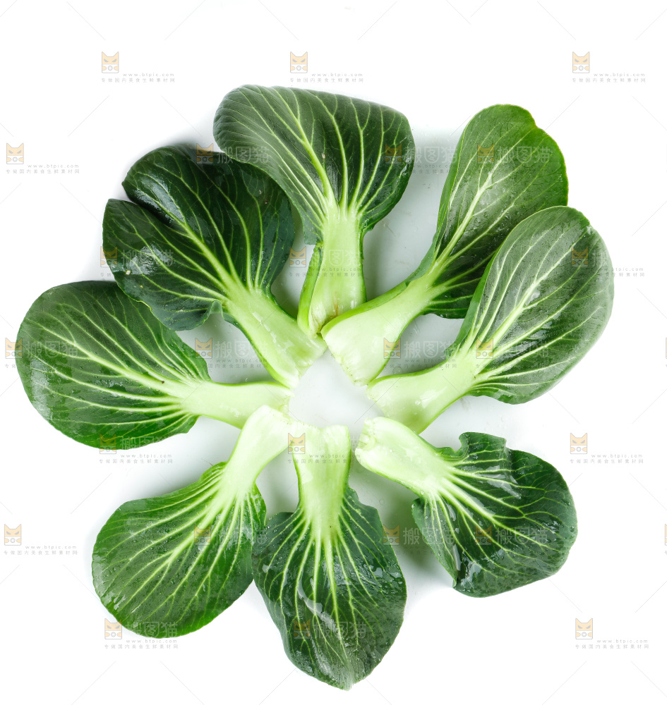白底上的绿叶菜