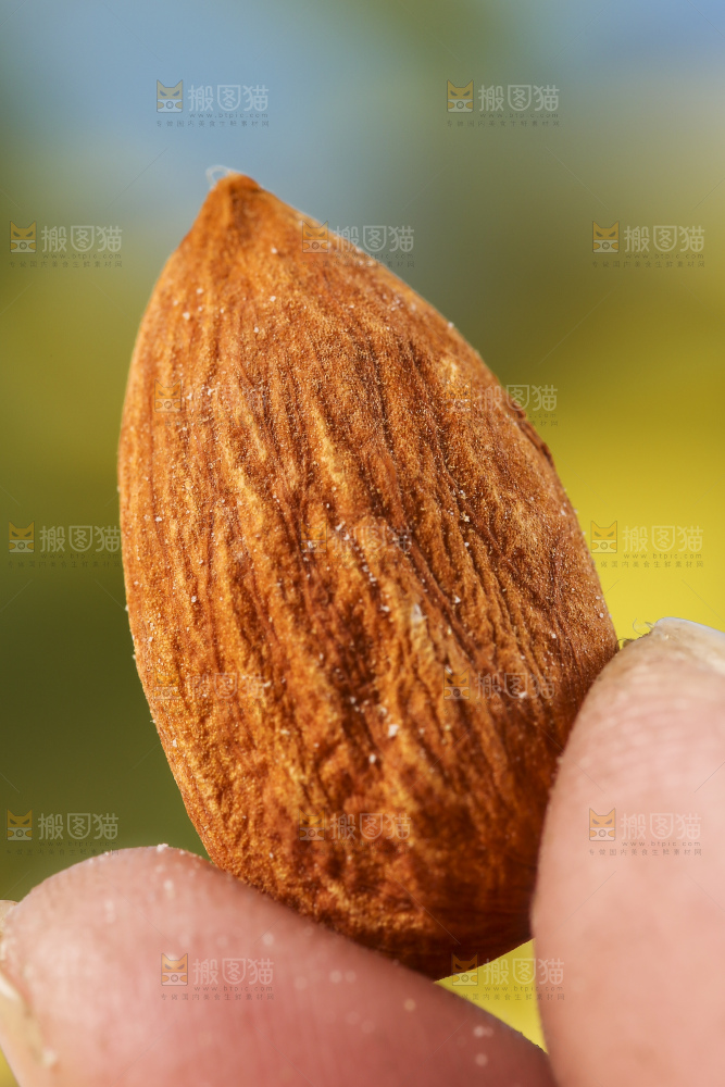 手那巴旦木