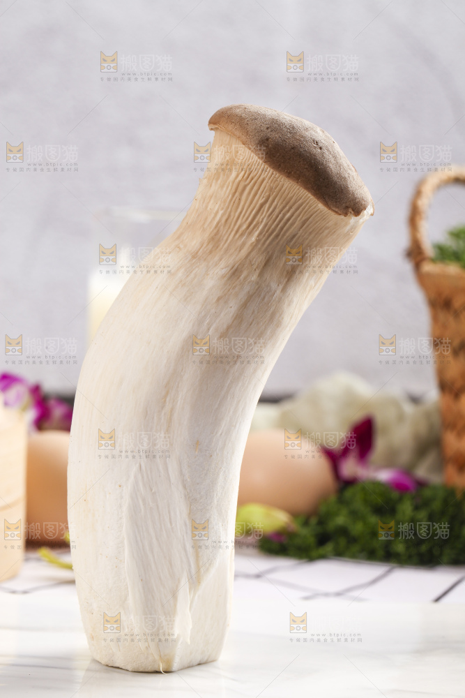石板上摆放着鸡腿菇