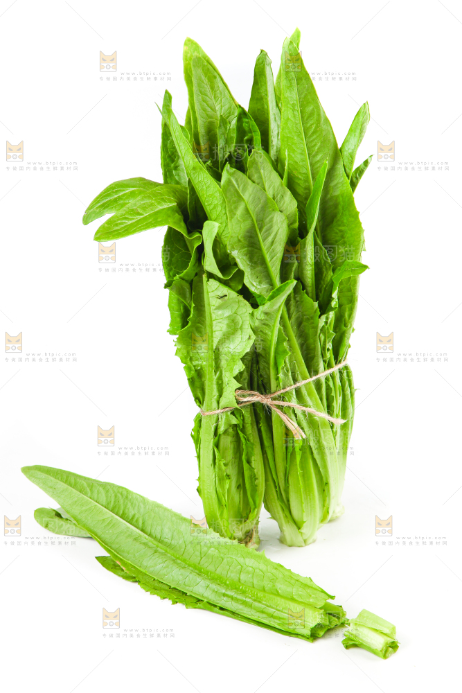 白底上的香麦菜
