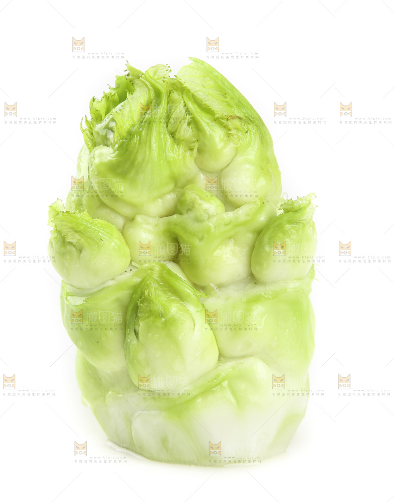 儿菜