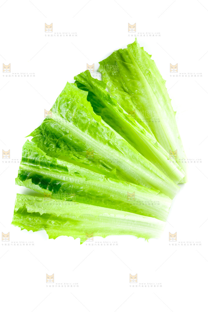白底上放着油麦菜