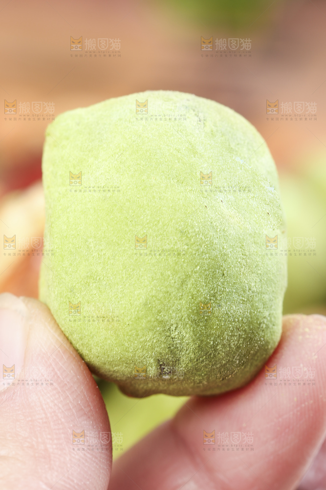 手拿抹茶味奶枣