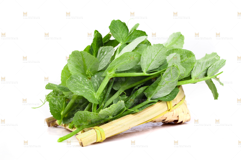 白底上摆放着新鲜豌豆苗
