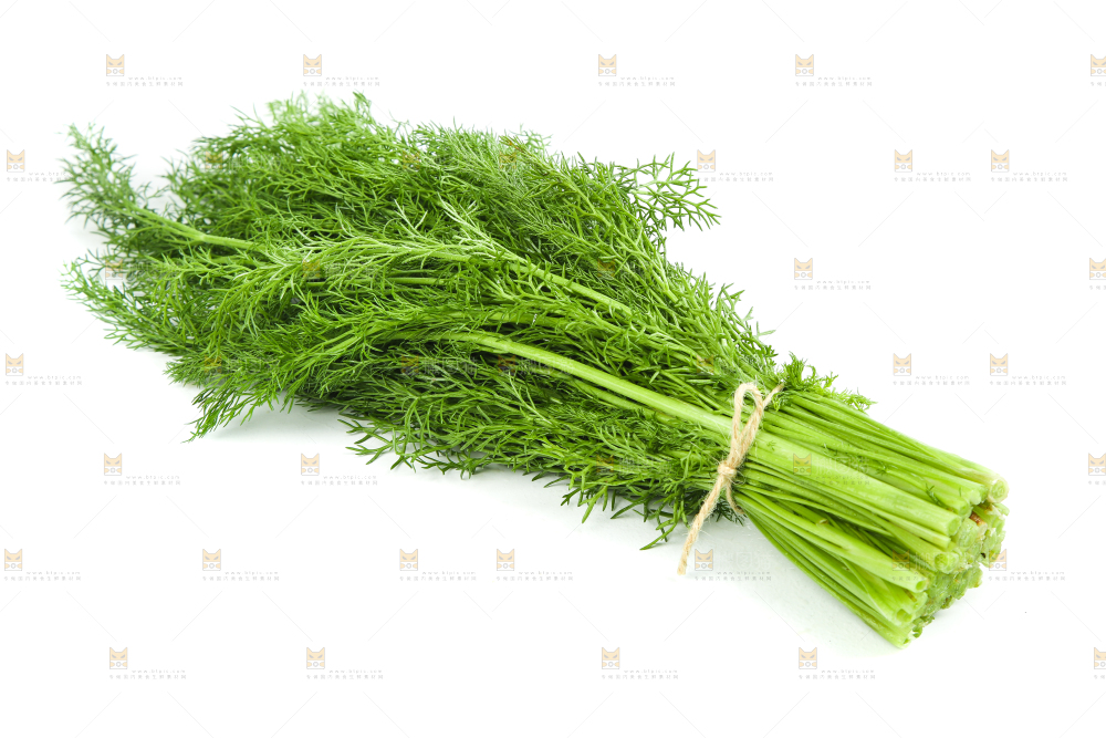 白底上放着小茴香