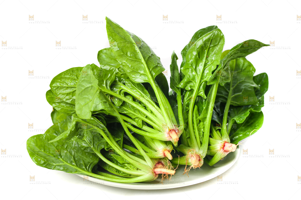 白底上放着菠菜