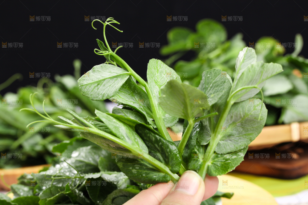 木板上放着农家豌豆尖