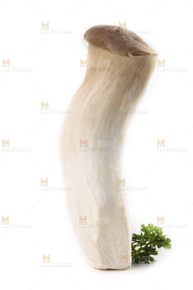 白底上放着大鸡腿菇