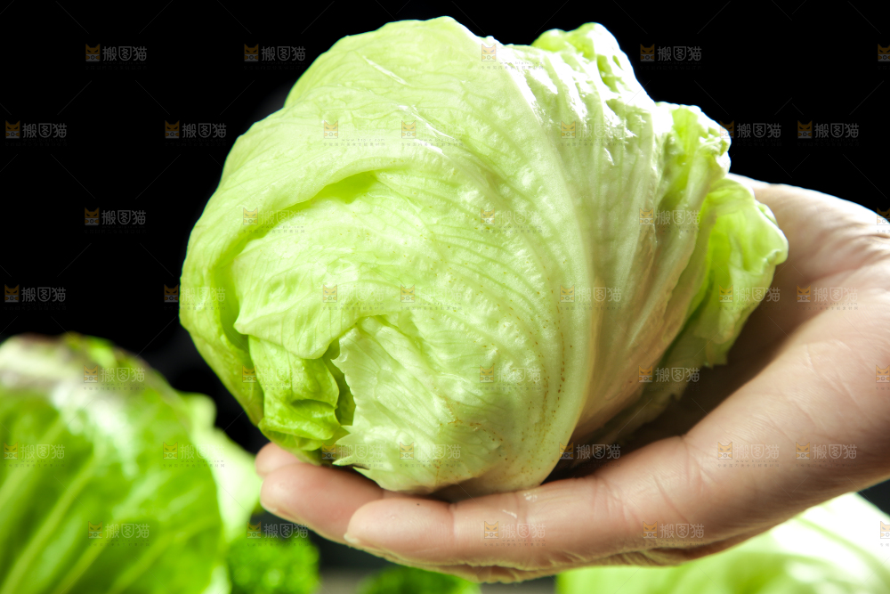 深底上的圆形生菜