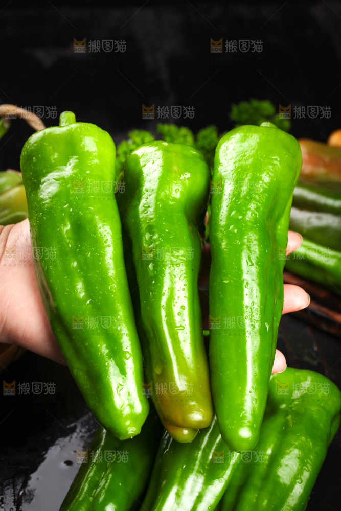 手里拿着新鲜青椒