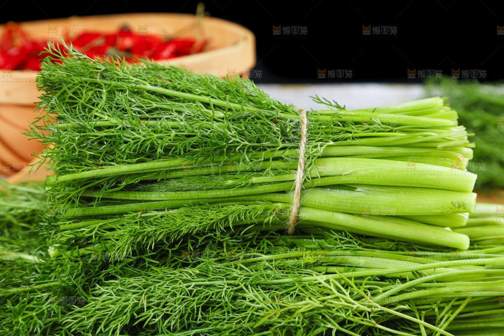 盘子里装着农家茴香菜