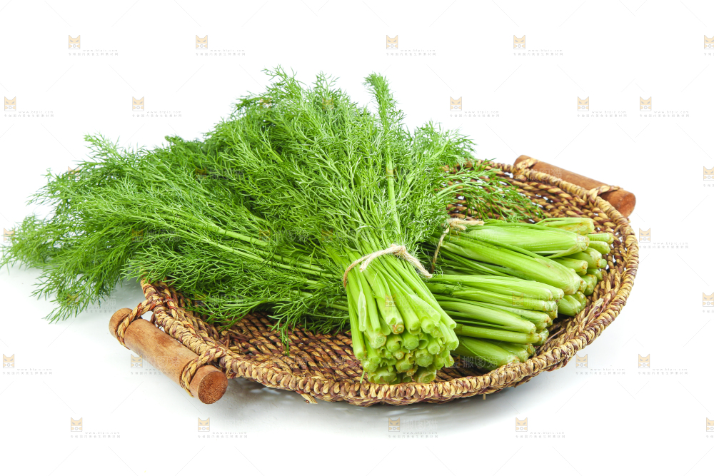 白底上放着小茴香