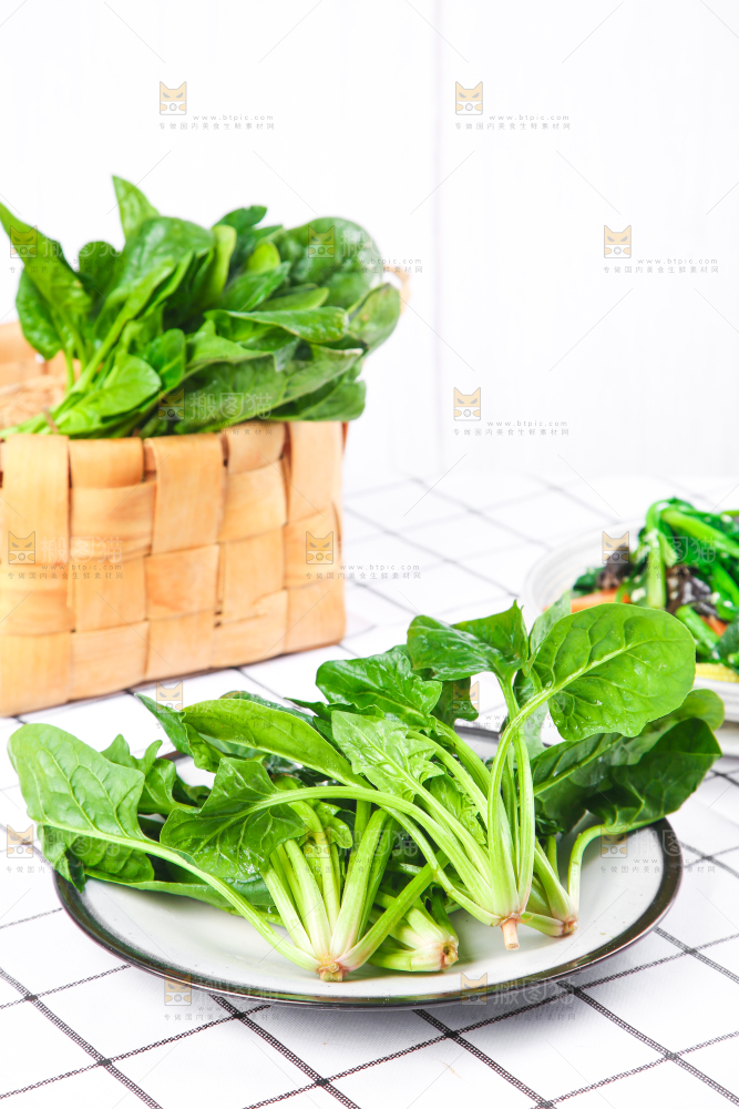 白格子底上的嫩菠菜