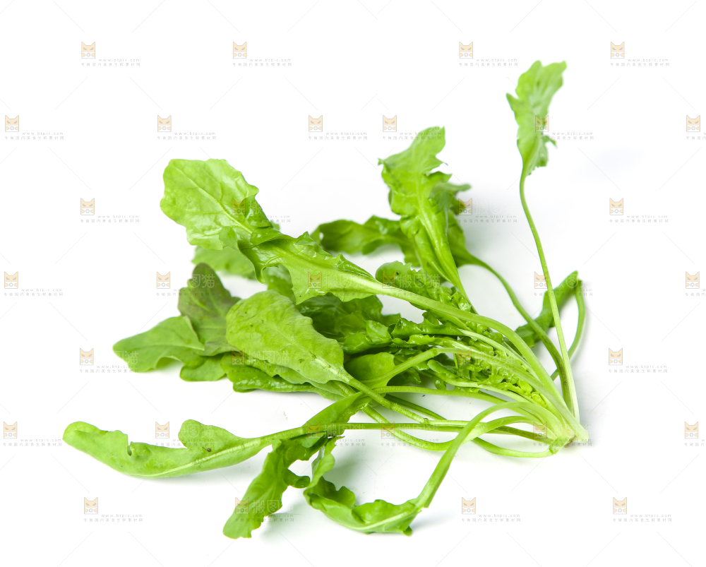 白底上的地菜