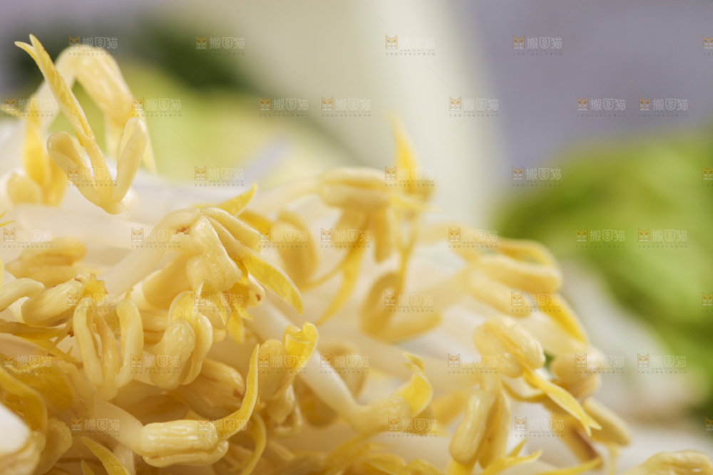 盘子里装着绿豆芽