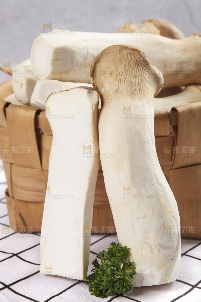 篮子里放着大鸡腿菇