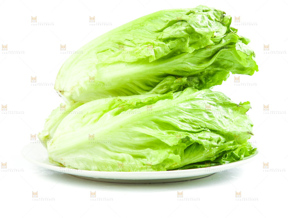 盘子里装着大叶生菜