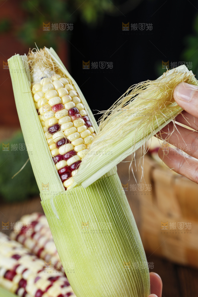 手拿花糯玉米