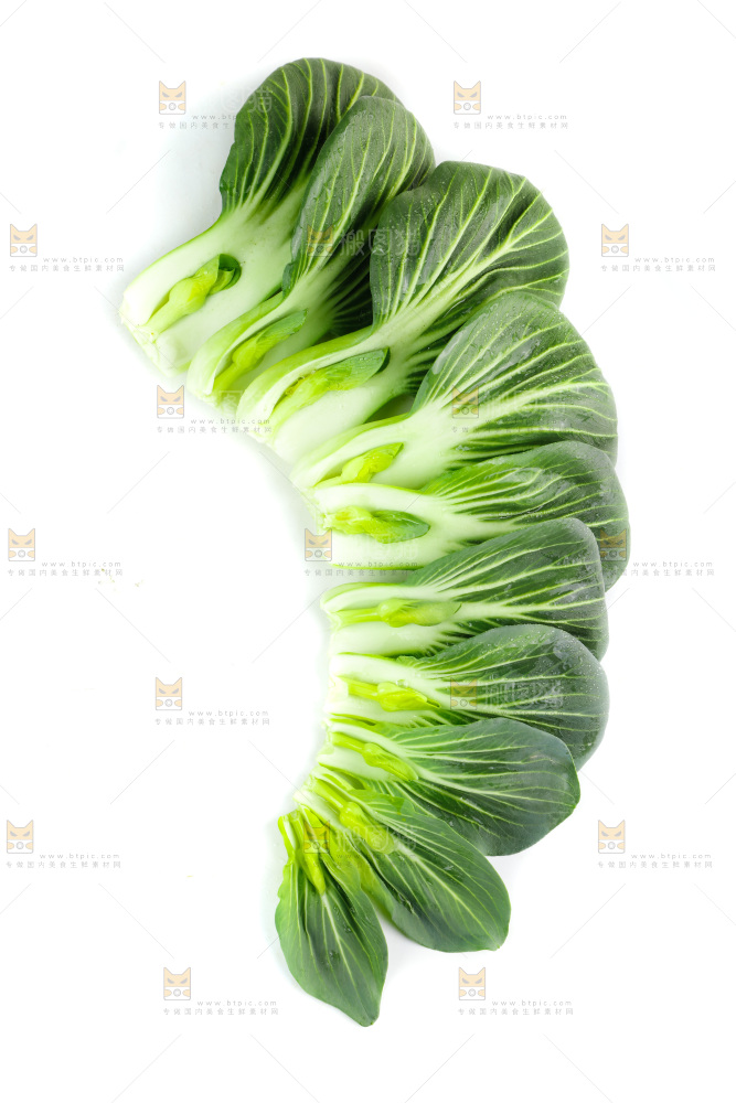 白底上的绿叶菜