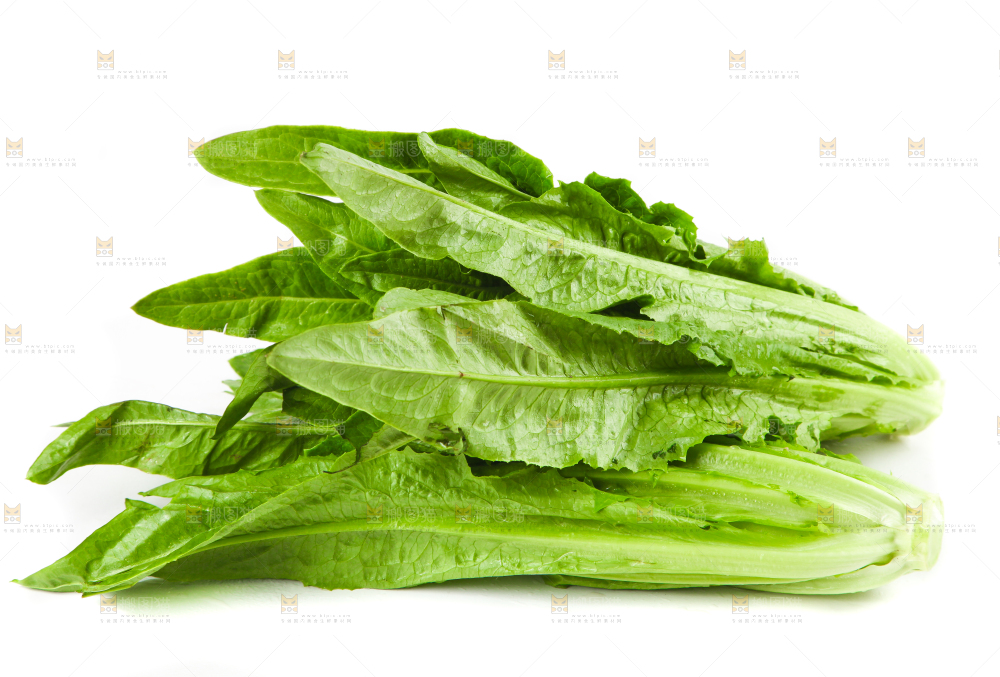 白底上的香麦菜