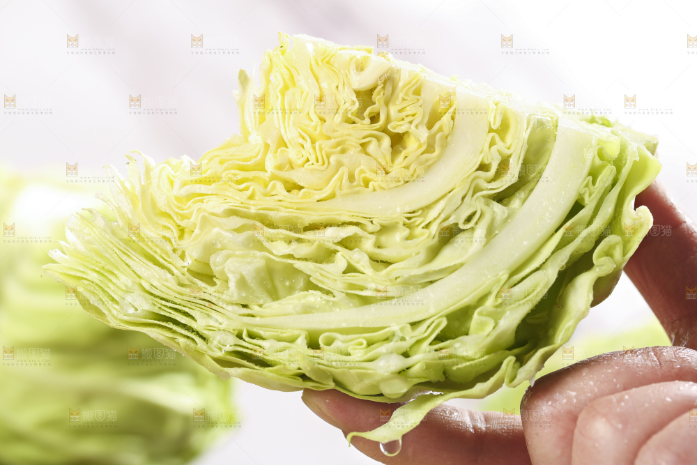 手里拿着洋白菜